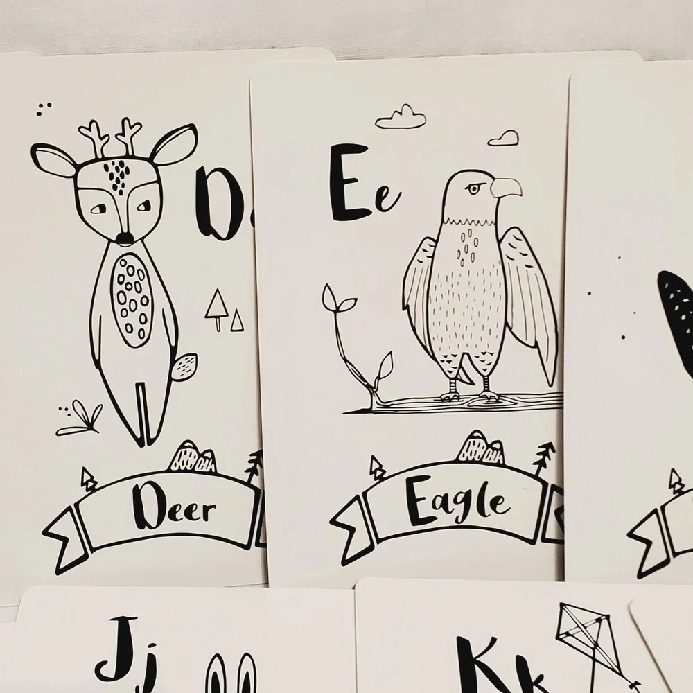 Animal Alphabet Number Cards Yolo Kids Educational Box Has Issues‎